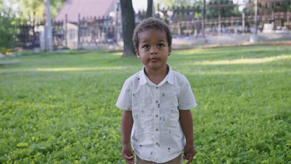 Portrait of a Cute African Boy in the Park alt