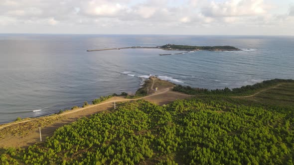 Ocean Coast Island alt