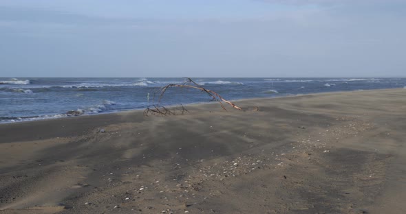 Empty deserted beach, with strong wind and waves on a winter day
