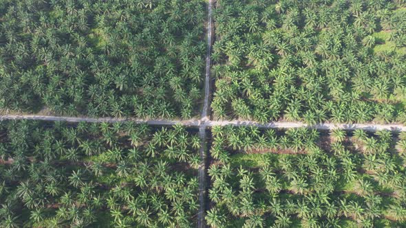 A Footage Showing The Marine Life in The Underwater World alt