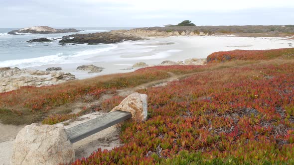 Rocky Craggy Ocean Coast Sea Waves Monterey California