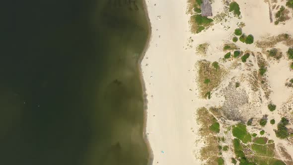 Baltic Coastline with Green Summer Forest and the Sea alt