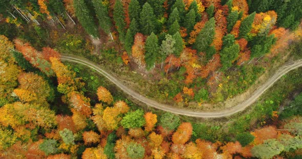 4K Aerial footage of mountain road in beautiful forest at sunset in autumn