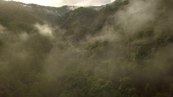 Aerial view flying thru the morning rain cloud covered tropical rain forest mountain landscape durin alt