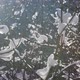 Sparkling Snow in Winter Forest - VideoHive Item for Sale