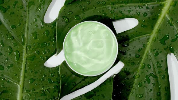 Green Cosmetic Cream with Rotation on Background of Tropical Leaves Monstera alt