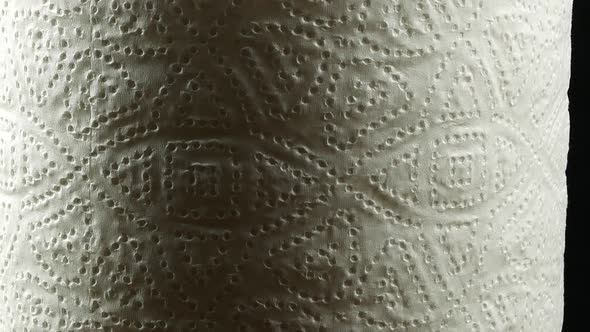 Roll of paper kitchen towels texture alt