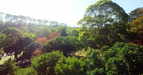 Aerial of parkland alt