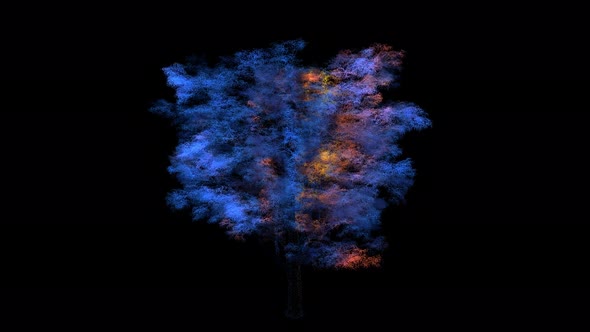 Particles Form Beautiful Tree