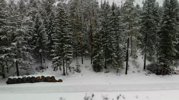 Beautiful view on an Forest in Schiederweiher in Upper Austria Drone Video alt