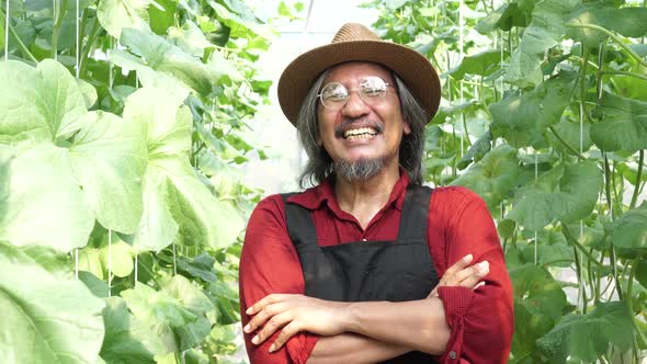 Senior Middle Aged Male Farmer Having Arms Crossed with Happy Teethy Smile Wearing a Straw Hat alt