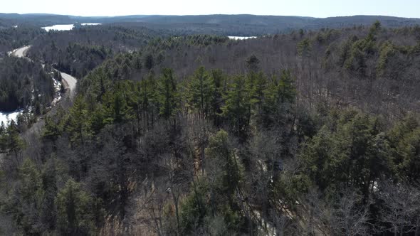 Park vast trees aerial shot. alt