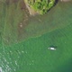 Overhead Aerial Of People Canoeing on Green Lake - VideoHive Item for Sale
