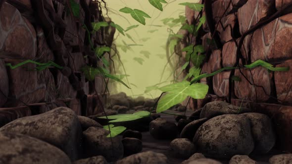Ivy Vine Nature Tunnel