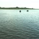 Aerial Footage Of Two Wild Elephants Relaxing In A Reservoir In Kadulla - VideoHive Item for Sale