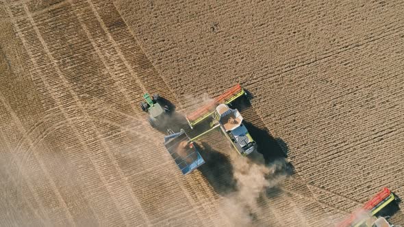 Aerial View of Combine Harvester Harvesting Golden Wheat and Filling Tractor Trailer with Grain alt