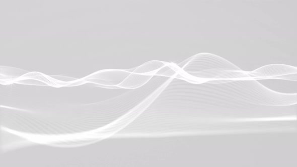 Elegant Light Gray Wave Background