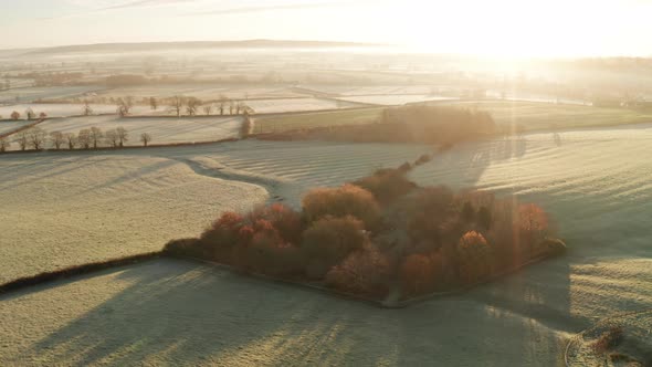 Aerial drone video of rural countryside landscape scenery with orange autumn trees and green fields  alt
