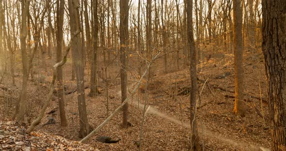 Western Ridge Trail Rock Creek Park Washington D C Sunset Time Lapse By Silvermanmedia