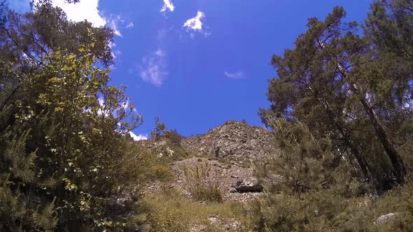  UHD Mountain Timelapse at the Summer. Clouds Green Trees and Sun Rays Movement. alt