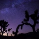 Milky Way and Stars in Joshua Tree National Park - VideoHive Item for Sale
