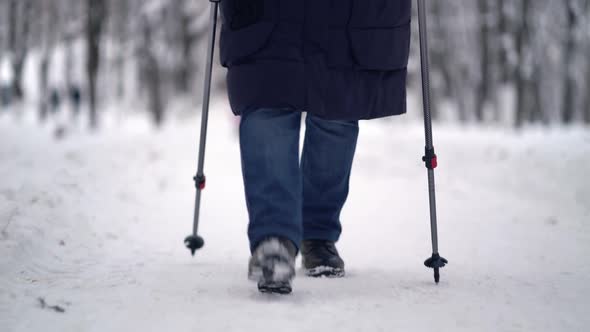Active Senior Elderly Woman Training Nordic Walking with Trekking Poles. Elderly Woman Practicing