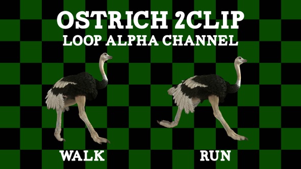 Ostrich 2 CLip Loop