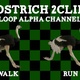 Ostrich 2 CLip Loop - VideoHive Item for Sale