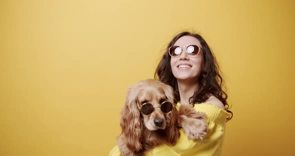 English Cocker Spaniel with a Sunglasses Posing with a Woman in Studio alt