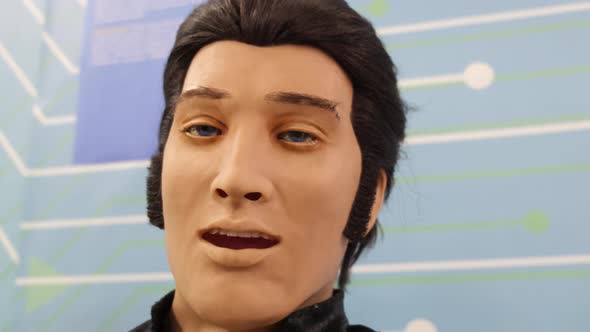 Robot Head Elvis Presley alt