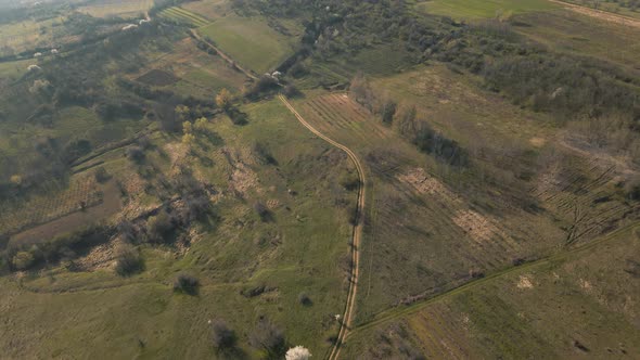 Aerial View of the Countryside with Fields of Crops and Pine Forests in Spring alt