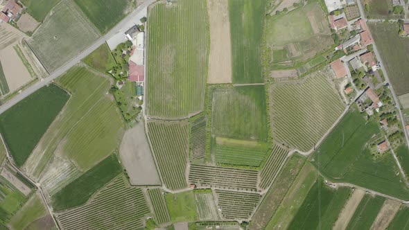 Green Vineyards Aerial View 13 alt