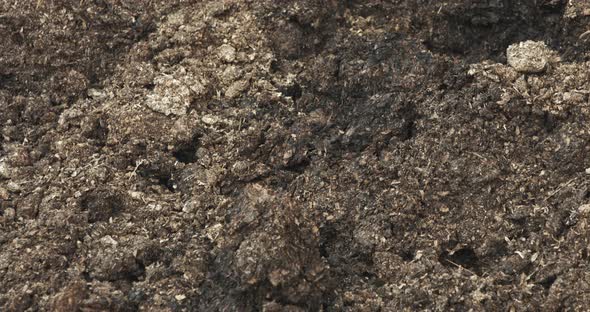 Abstract - piles of animal manure in a farm silo in close up shots