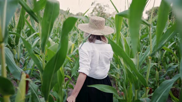 Portrait of Pretty Young Woman in Stylish Linen Dress and Straw Hat Walking Between Green Corn