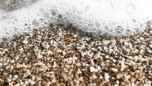 Slow Motion Footage of Shells Moving in Sea alt