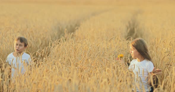 Happy Children Make Their Way Among the Ears of Corn in the Field. Brother and Sister Walk in a alt
