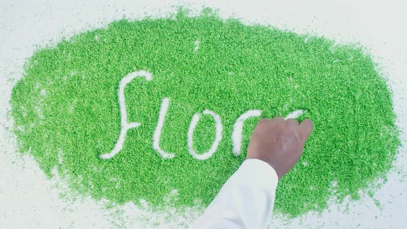 Indian Hand Writes On Green Flora