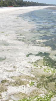 Tanzania  Vertical Video of Low Tide in the Ocean Near the Coast of Zanzibar Slow Motion alt