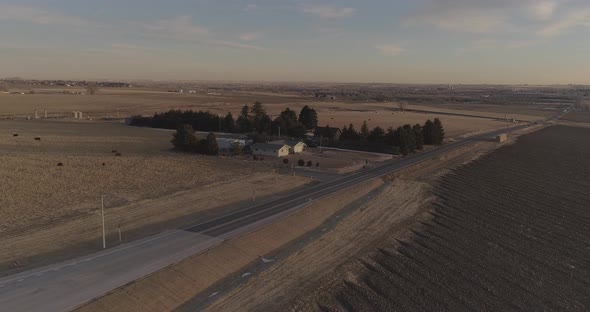 Colorado farm house with cattle and golden fields. alt