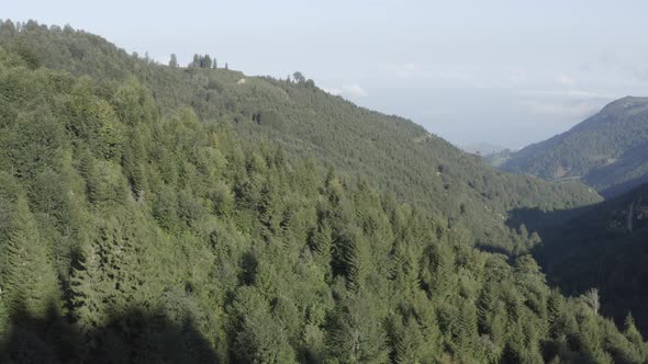 Trabzon City Forest And Mountains Aerial View 5