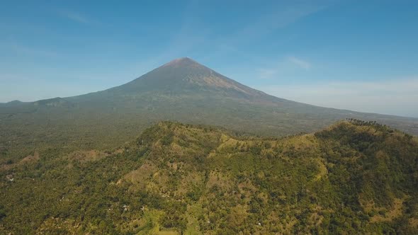 View of Mountain Forest Landscape alt