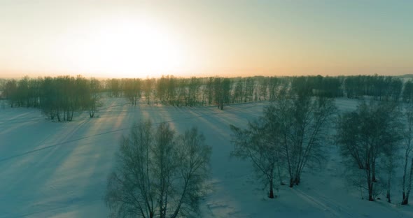 Aerial Drone View of Cold Winter Landscape with Arctic Field Trees Covered with Frost Snow and alt