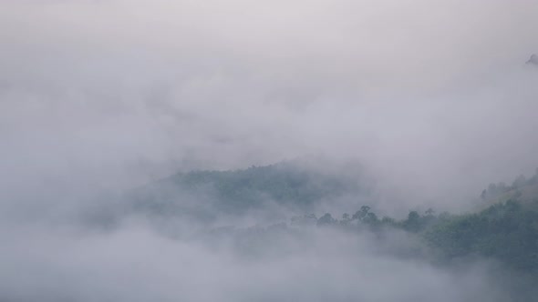 Landscape view of greenery rainforest and hills on foggy day