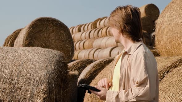 Farmer Agronomist Checks Hay Bales on the Wheat Field After Harvest at Sunset alt