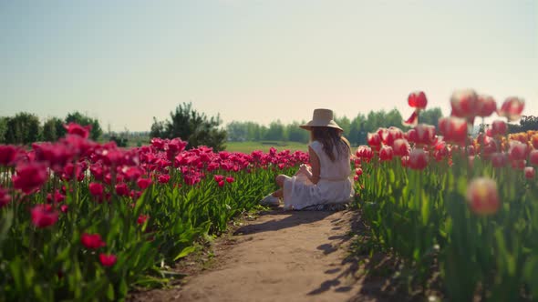 Camera Moving Along Road in Red Tulips Field with Girl in Hat Sitting in Flowers alt