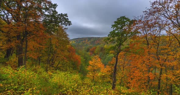 Timelapse of Autumn Landscape with Colorful Trees