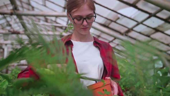 Girl in Red Shirt Transplants Flowers in Greenhouse Works Tools