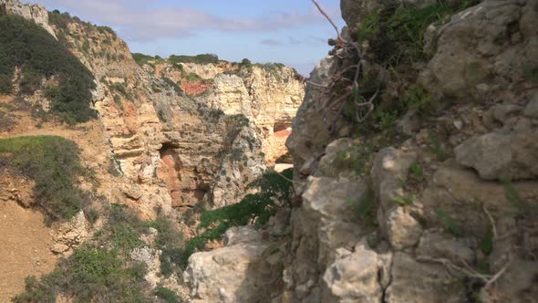 The rocky ocean shore alt