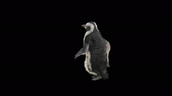 80 Penguin Dancing 4K alt