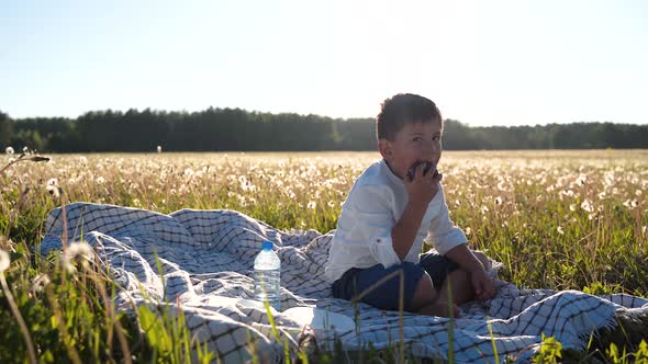 A Boy Sits in a Field and Eats an Apple